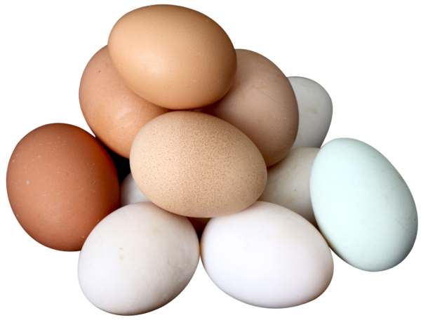 Brown and white Eggs