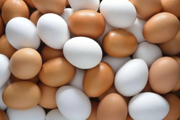 Brown and white Eggs - Image 2