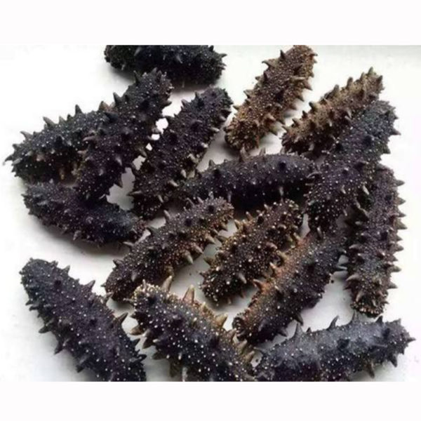 Frozen and Dried Sea cucumber - Image 2