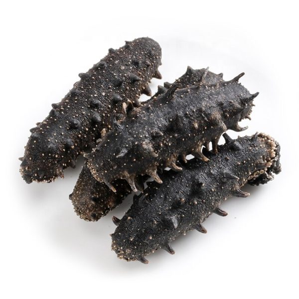 Frozen and Dried Sea cucumber