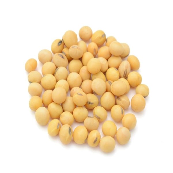 Soybean