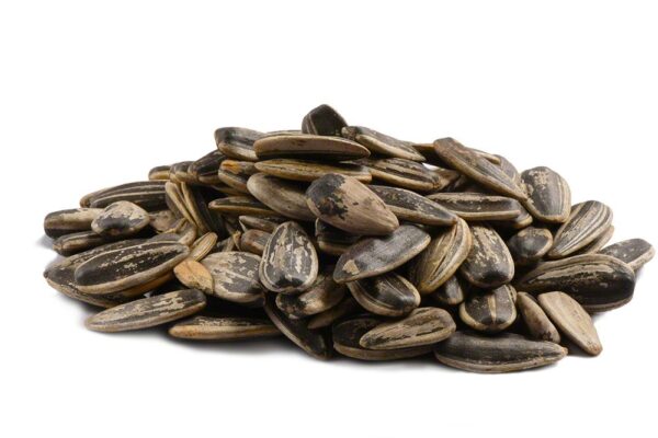 Roasted Unsalted Sunflower Seeds In Shell