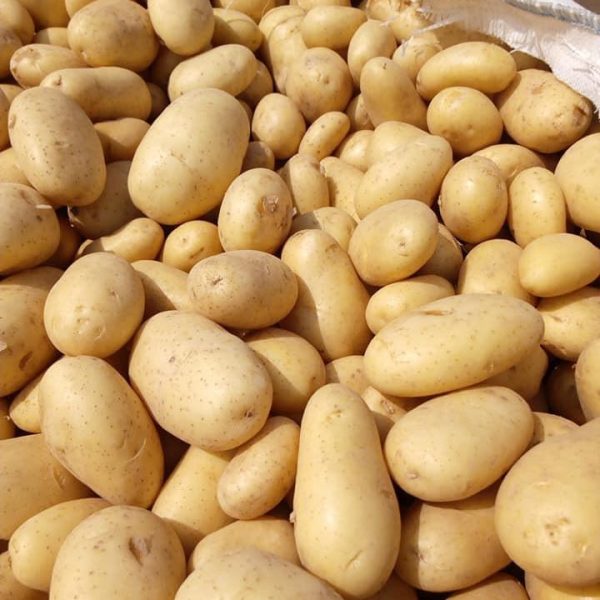 Fresh Potatoes