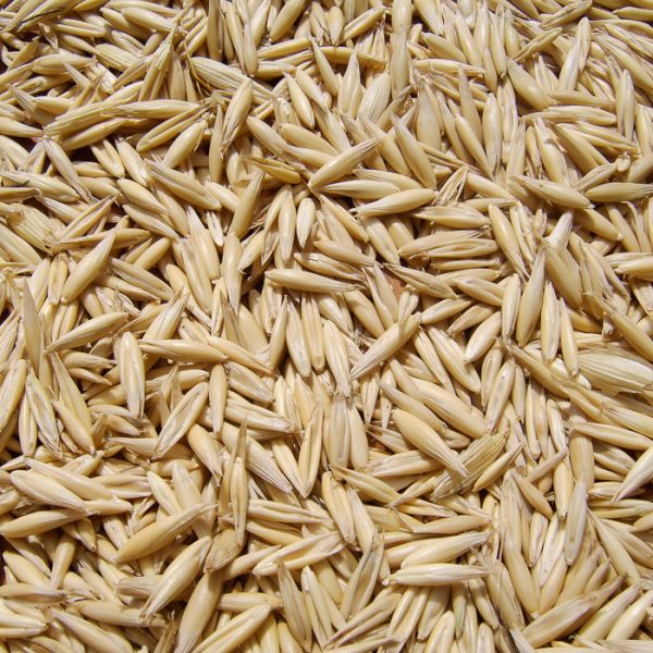 Oat